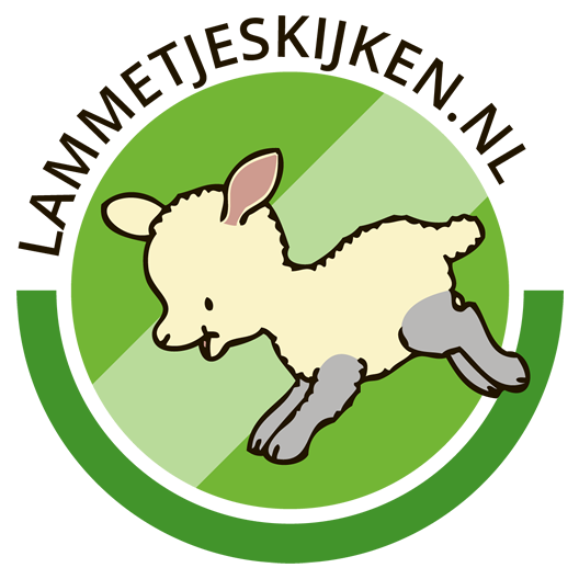 Lammetjes kijken - Lammetjesdagen